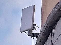 Wi-Fi public - Antenne