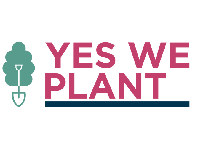  » YES ! We plant  » à Dinant