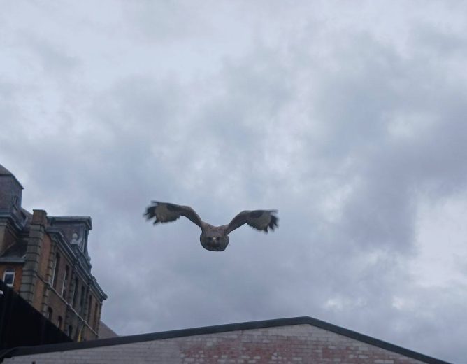 𝑽𝑰𝑳𝑳𝑬 𝑫𝑬 𝑫𝑰𝑵𝑨𝑵𝑻 – 𝑪𝒐𝒎𝒎𝒖𝒏𝒊𝒄𝒂𝒕𝒊𝒐𝒏 𝒐𝒇𝒇𝒊𝒄𝒊𝒆𝒍𝒍𝒆 – 𝑨𝒕𝒕𝒂𝒒𝒖𝒆𝒔 𝒅𝒆 𝒃𝒖𝒔𝒆